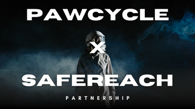 Hållbarhet i Fokus - Pawcycle x SafeReach